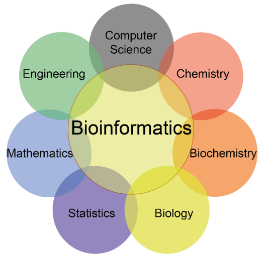 Bioinformatics Scope In Pakistan Jobs, Salary, Subjects, Universities