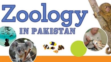 Zoology Scope In Pakistan, Jobs, Career, Salary, Universities