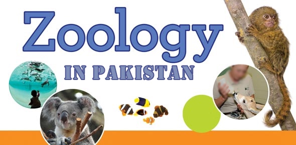 Zoology Scope In Pakistan, Jobs, Career, Salary, Universities