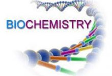 Biochemistry Scope In Pakistan Jobs, Salary, Subjects, Offering Universities