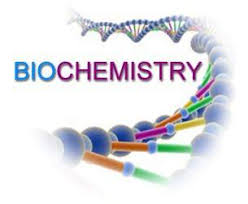 Biochemistry Scope In Pakistan Jobs, Salary, Subjects, Offering Universities