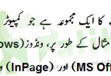 Computer Software Definition In Urdu