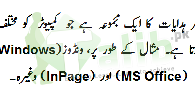 Computer Software Definition In Urdu