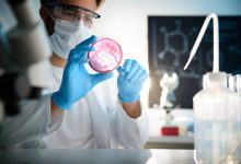 Scope Of Anatomy In Pakistan, Jobs, Salary, Subjects, Offering Universities