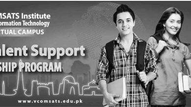 COMSATS Islamabad NTS Talent Support Scholarship 2025