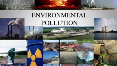 Causes and Effects of Pollution on Environment Essay
