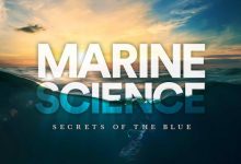 Marine Science Scope In Pakistan, Jobs, Salary, Subject, Universities