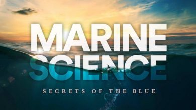 Marine Science Scope In Pakistan, Jobs, Salary, Subject, Universities