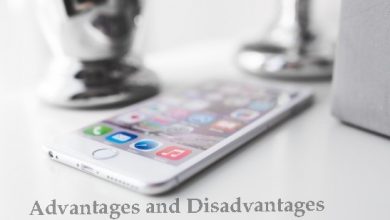Mobile Phone Advantages and Disadvantages Essay