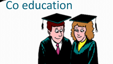 Co Education In Pakistan Essay