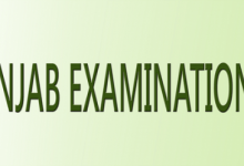 Okara Board 5th Class Result 2026