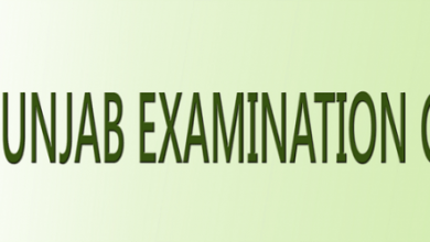 Okara Board 5th Class Result 2025