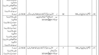 anti narcotics force anf jobs 2025 Punjab UTS application Form, Last Date