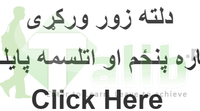 Bannu Board 5th 8th Class Result 2025