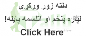 Malakand Board 5th 8th Class Result 2025 1 Malakand Board 5th 8th Class Result 2025