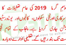 Punjab Summer Holidays Dates 2025 5 Punjab Summer Holidays Dates 2025 In Private Public Schools