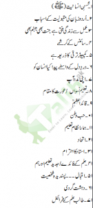 Multi essay for 2nd year picture