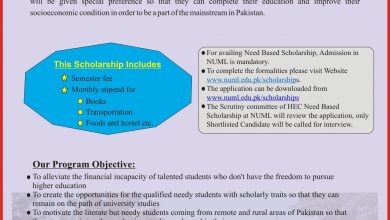NUML HEC Need Based Scholarship 2025 Form, Last Date, Advertisement
