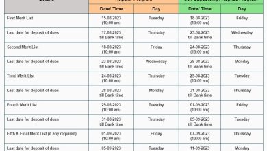 Punjab University Undergraduate Merit List 2025