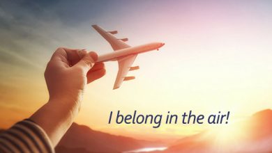 Air Ticketing Course Institutes In Lahore 1 Air Ticketing Course Institutes In Lahore