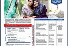 HEC Pak USAID Scholarships 2025