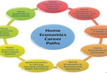 Scope Of Home Economics In Pakistan, Jobs, Salary, Subjects, Universities