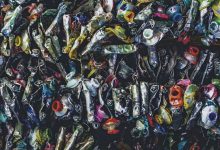 How to change the Custom Colors