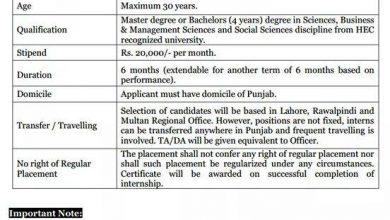 Punjab Education Foundation Internship Program 2025 PEF Registration Form Last Date