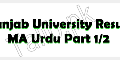 Punjab University MA Urdu Result 2025
