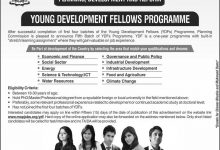 Young Development Fellows Program 2025 Apply Online Jobs Application Form