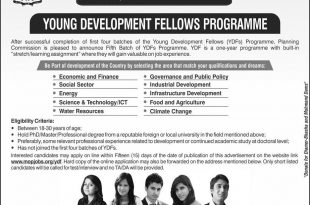 Young Development Fellows Program 2022 Apply Online Jobs Application Form