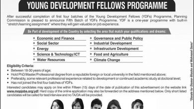 Young Development Fellows Program 2025 Apply Online Jobs Application Form
