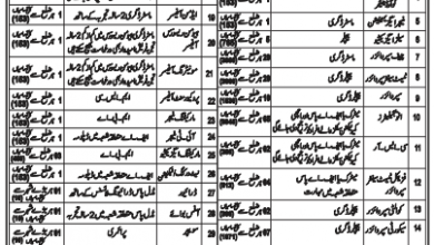 Success Testing Services Test Result 2025 STS Answer Keys