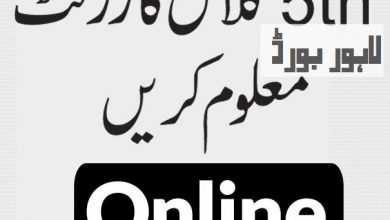 Lahore Board 5th Class Result 2025 Roll Number Wise
