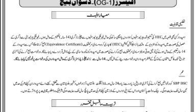 SBP OG 1 10th Batch NTS Roll Number Slip 2025 Download