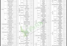 Sindh Lady Health Workers LHW Program 2025 Application Form, Salary