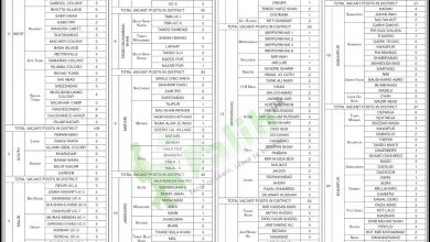 Sindh Lady Health Workers LHW Program 2025 Application Form, Salary
