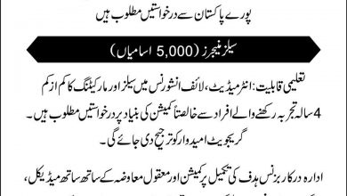 State Life Insurance Jobs 2025 Apply Online Last Date