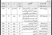 Ministry Of Religious Affairs Jobs 2025 MORA Application Form Last Date