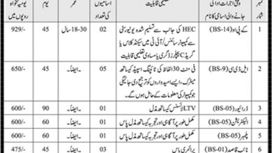 Ministry Of Religious Affairs Jobs 2025 MORA Application Form Last Date