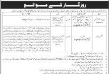 NADRA Intelligence Officer Jobs 2025 Application Form Last Date