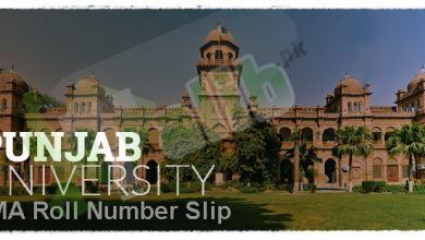 Punjab University Ma Roll No Slip 2025
