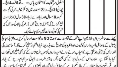 Balochistan Levies Force Jobs 2025 In Quetta Application Form Last Date For Sipahi