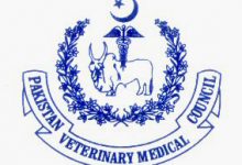 PVMC Recognized Universities 2025 In Pakistan 4 PVMC Recognized Universities 2025 In Pakistan