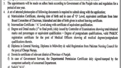 Sheikh Zayed Hospital RYK Jobs 2025 Application Form Last Date