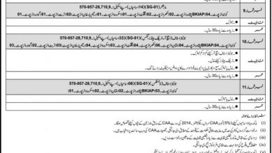 Civil Aviation Authority Jobs September 2025 Latest Advertisement