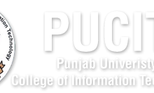 PUCIT Entry Test Sample Paper 2025 Pattern for BS and MSc