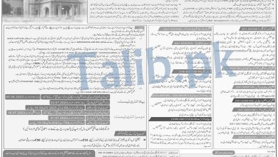 UAF Undergraduate Admissions 2025