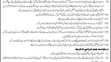 FESCO Jobs August 2025 ALM Application Form Advertisement Assistant Lineman