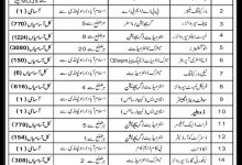 ITS Jobs Advertisement 2025 September October 7800 posts